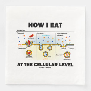 How I Eat At The Cellular Level Endocytosis Napkin