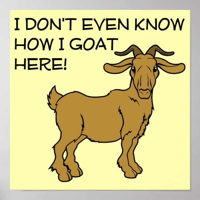 How I Goat Here Funny Poster Sign (Front)