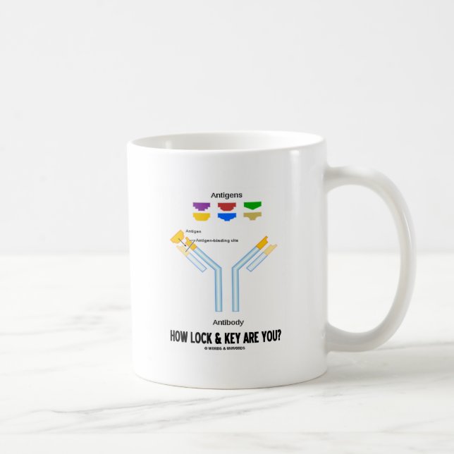 How Lock And Key Are You? (Antigen Antibody) Coffee Mug (Right)