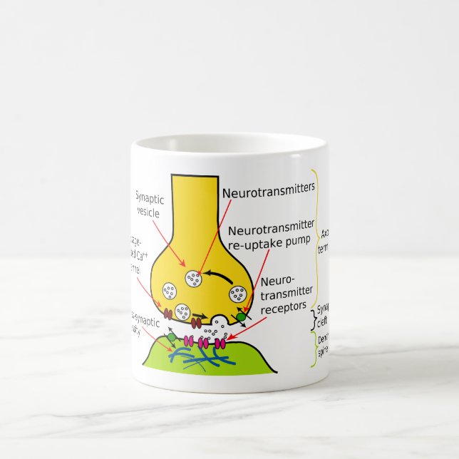 How Nerve Signals Are Sent With Synapses Diagram Coffee Mug (Center)