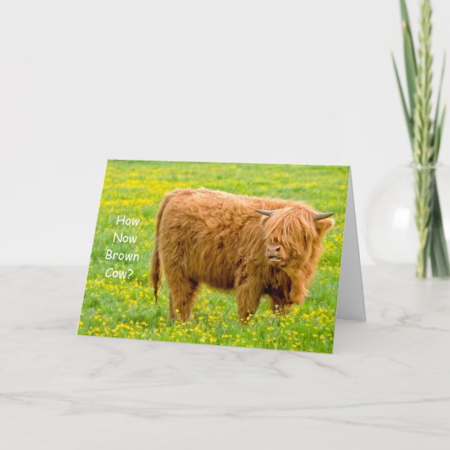 How Now Brown Cow? Birthday Card (Front)