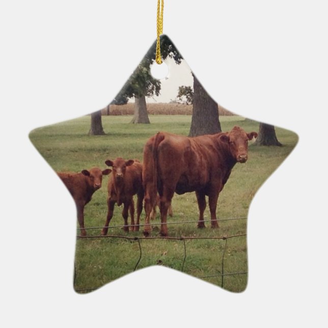 How Now Brown Cow Ceramic Ornament (Front)