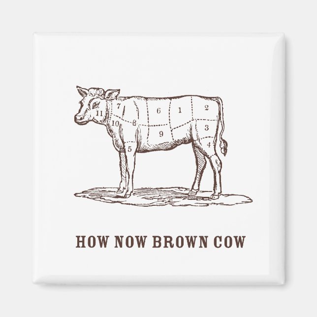 How Now Brown Cow Magnet (Front)