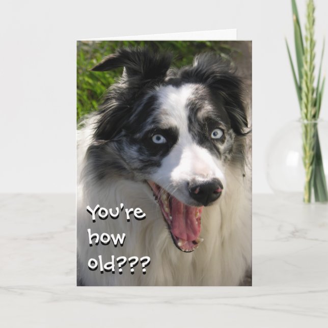 How Old Card (Front)