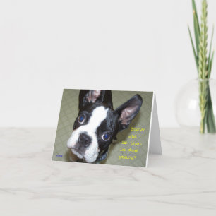 How Old In Dog Years? Card