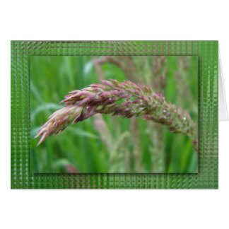 How the Grass Grows Card