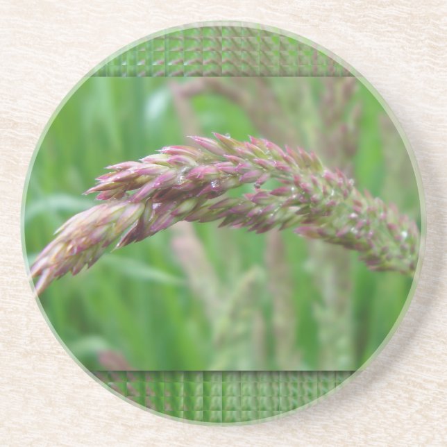 How the Grass Grows Coaster (Front)