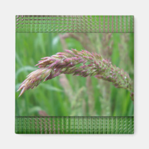 How the Grass Grows Magnet