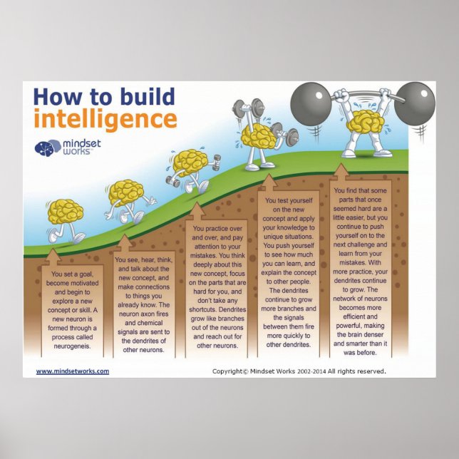 How to Build Intelligence Poster by Mindset Works (Front)