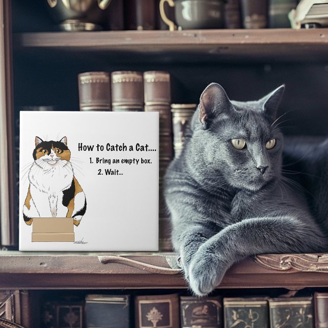 How to Catch a Cat Tile (Creator Uploaded)