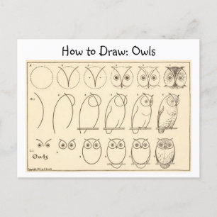 How to Draw an Owl Vintage Postcard