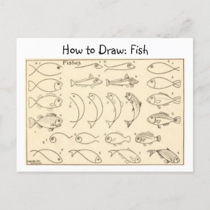 How to Draw Fish Vintage Postcard