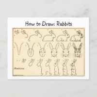 How to Draw Rabbits Vintage Postcard