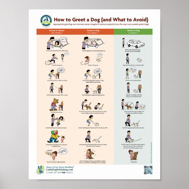 How to Greet a Dog (and What to Avoid) Poster (Front)