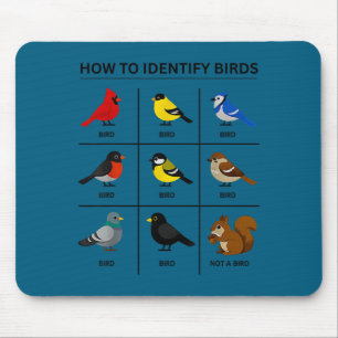 How to identify a bird funny birdwatching cute mouse pad