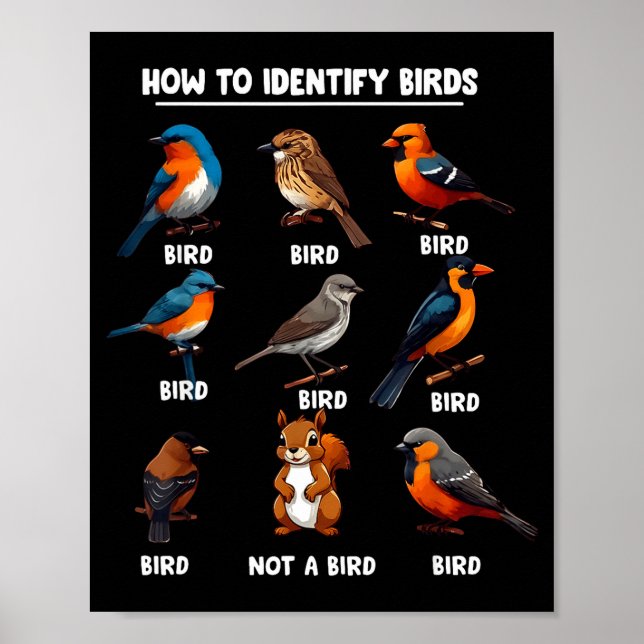 How To Identify Birds Funny Birds Identification B Poster (Front)