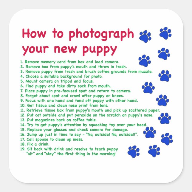How to photograph your new puppy square sticker (Front)