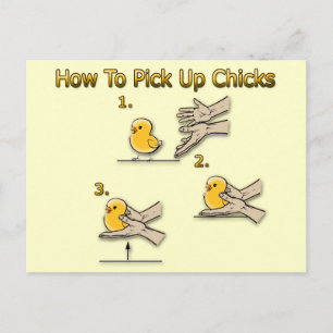 How To Pick Up Chicks Funny Directions Postcard