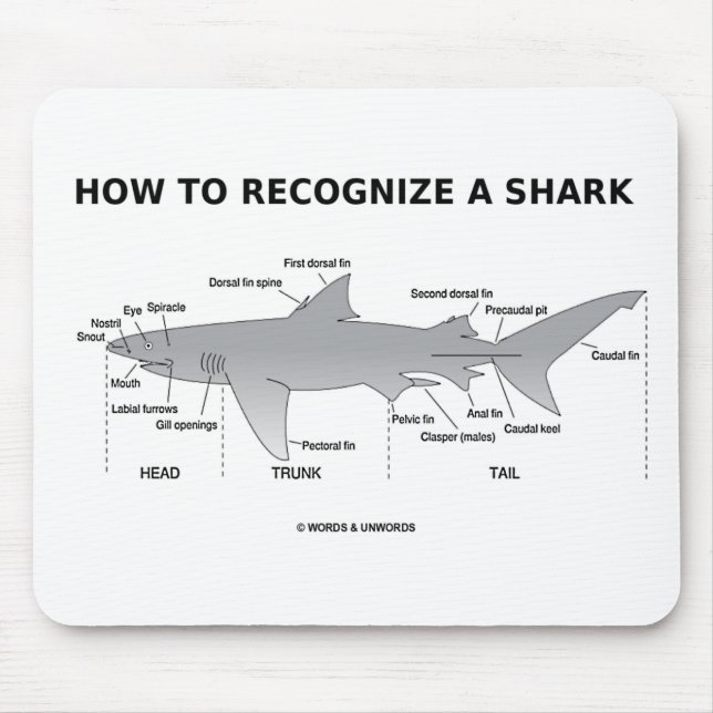 How To Recognize A Shark (Biology Humor) Mouse Pad (Front)