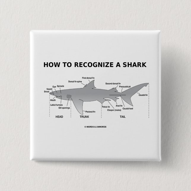 How To Recognize A Shark (Biology Humour) 2 Inch Square Button (Front)