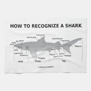 How To Recognize A Shark (Biology Humour) Kitchen Towel