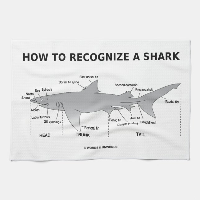 How To Recognize A Shark (Biology Humour) Kitchen Towel (Horizontal)