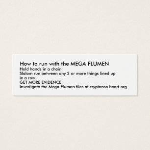 How to run with the MEGA FLUMEN