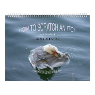 HOW TO SCRATCH AN ITCH by A. Gray Duck 2024 Calendar