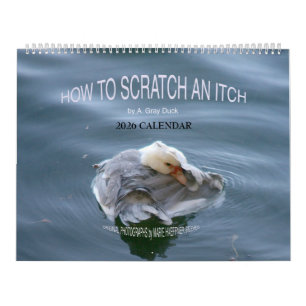 HOW TO SCRATCH AN ITCH by A. Grey Duck 2026 Calendar