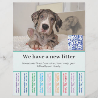 How to sell Dane puppies colored flyers
