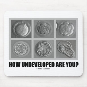 How Undeveloped Are You? Embryos Zygotes Mouse Pad