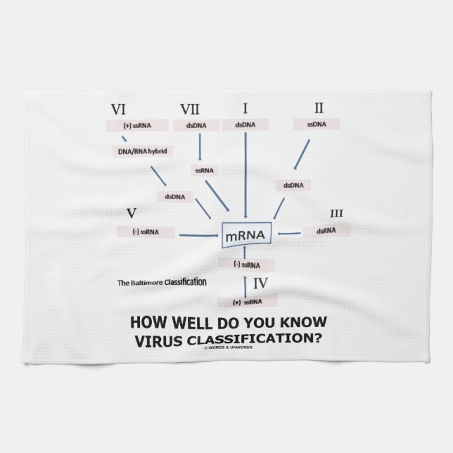 How Well Do You Know Virus Classification? Kitchen Towel (Horizontal)