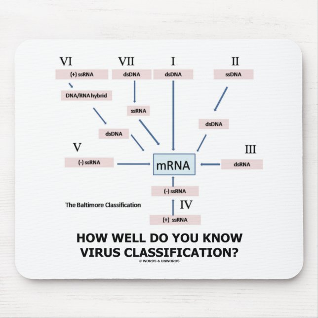 How Well Do You Know Virus Classification? Mouse Pad (Front)