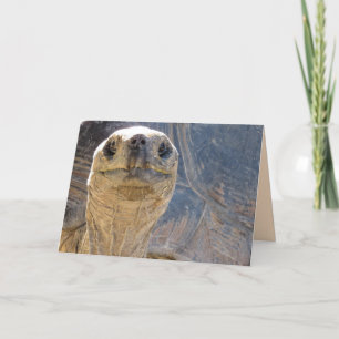 How Ya' Doin? Tortoise Greeting Card