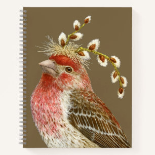 Howard the house finch notebook