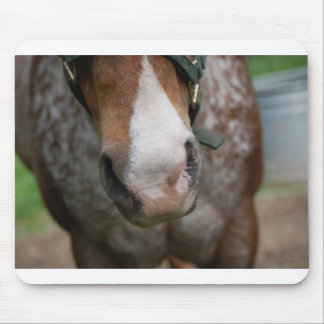 Howdy! Mouse Pad
