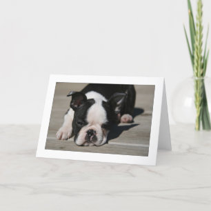 Howie Pouts Card