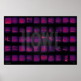 Howl: The Secret Language of Wolves Poster