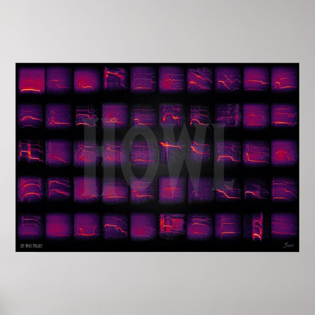 Howl: The Secret Language of Wolves Poster (Front)