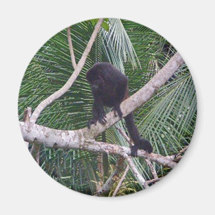 Howler Monkey and Baby Monkey in Costa Rica Jungle Magnet