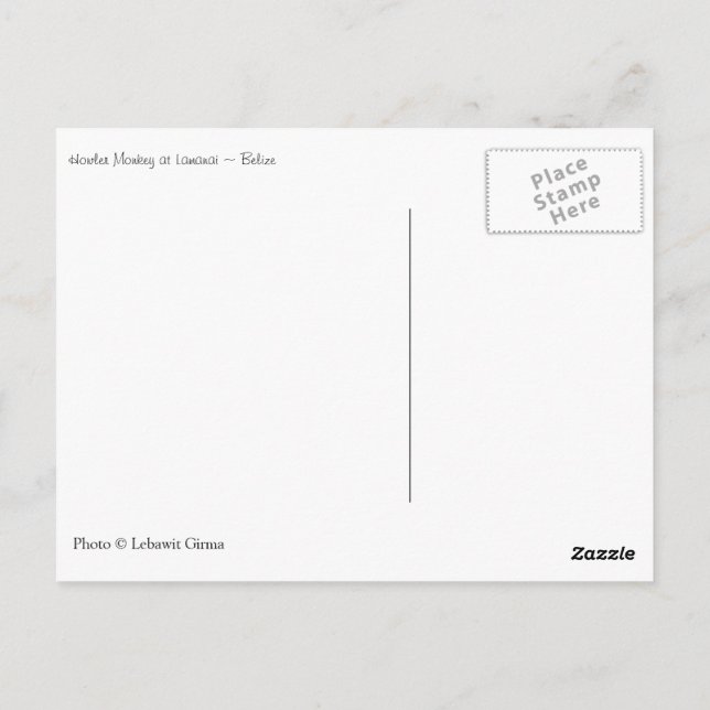 Howler Monkey, Belize Postcard (Back)