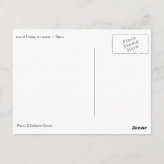 Howler Monkey, Belize Postcard