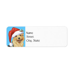 Howlidays heureux Norfolk Terrier