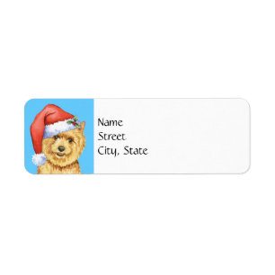 Howlidays heureux Norwich Terrier
