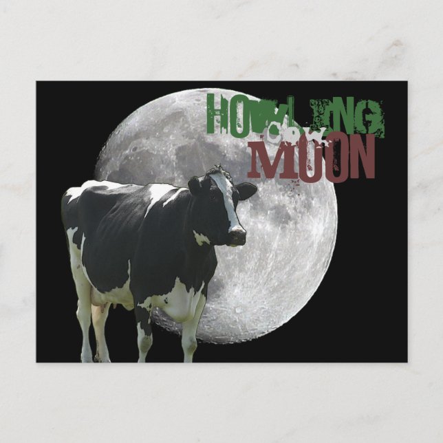 Howlin Cow Moon Postcard (Front)
