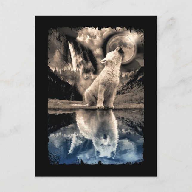 Howling Baby Wolf Moon Mirror Adult Wolf Lover Postcard (Front)