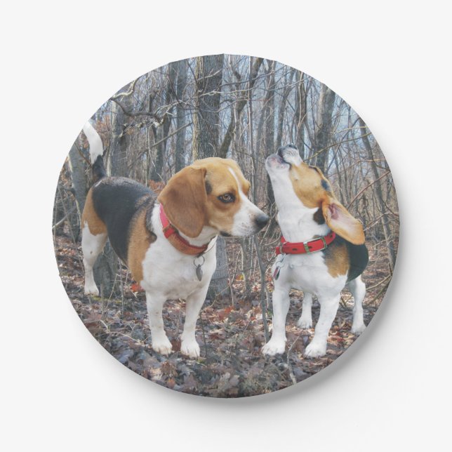 Howling Beagle & friend in Woods Paper Plate (Front)