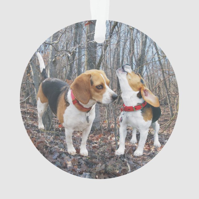 Howling Beagle in Woods Christmas Ornament (Back)