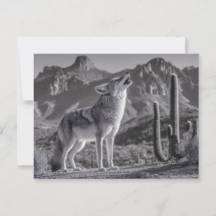 Howling Coyote in Desert Landscape Postcard