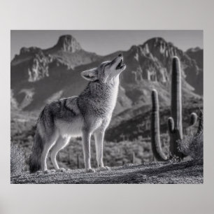 Howling Coyote in Desert Landscape Poster